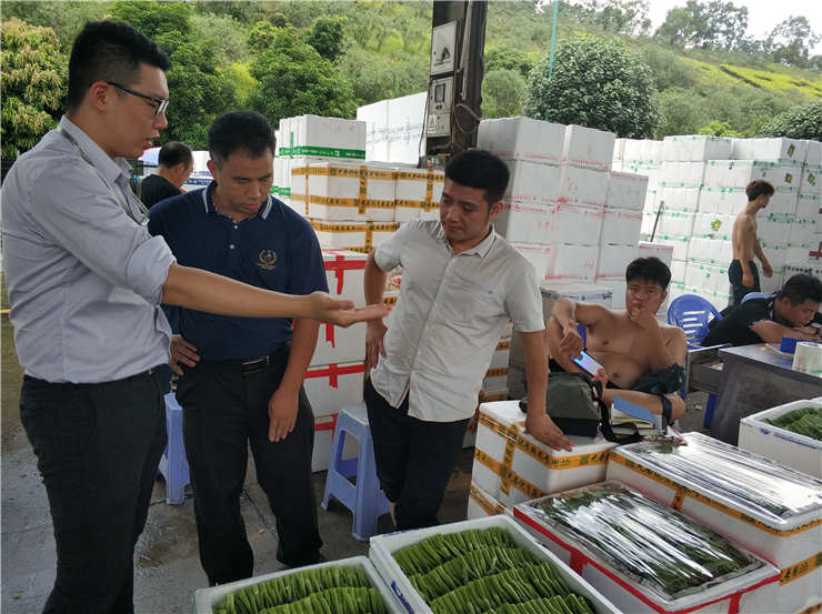 Z6���������ǲ�(�й���)���޹�˾����