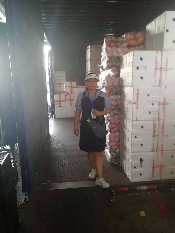 Z6���������ǲ�(�й���)���޹�˾����