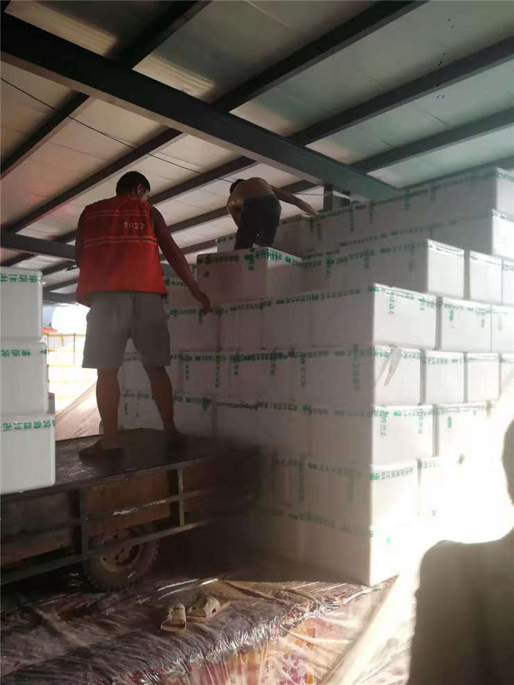 Z6���������ǲ�(�й���)���޹�˾����