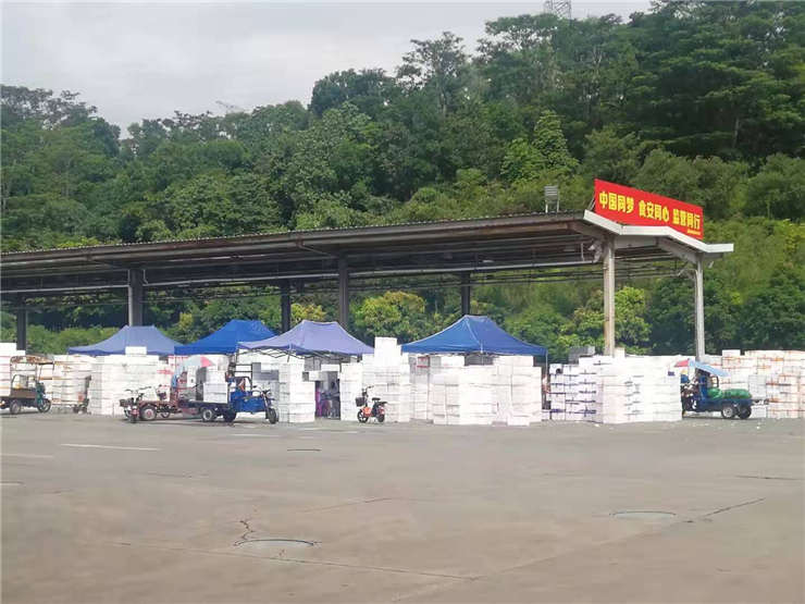 Z6���������ǲ�(�й���)���޹�˾����