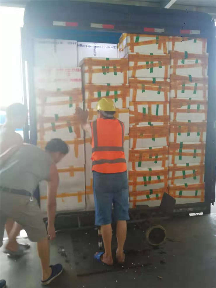 Z6���������ǲ�(�й���)���޹�˾����