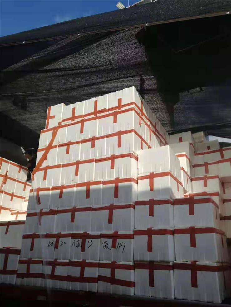 Z6���������ǲ�(�й���)���޹�˾����