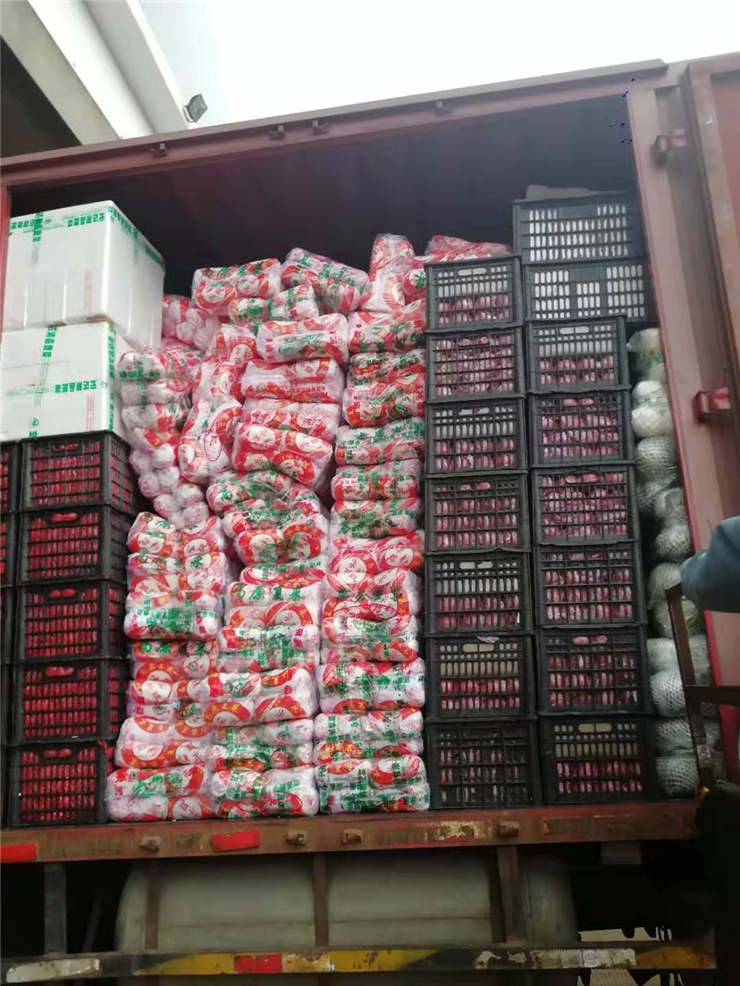 Z6���������ǲ�(�й���)���޹�˾����