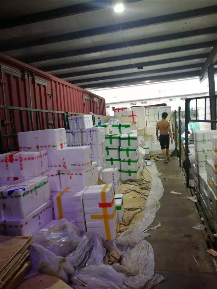 Z6���������ǲ�(�й���)���޹�˾����