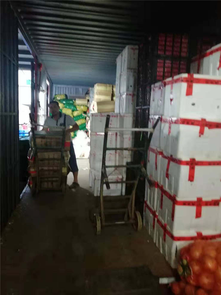 Z6���������ǲ�(�й���)���޹�˾����