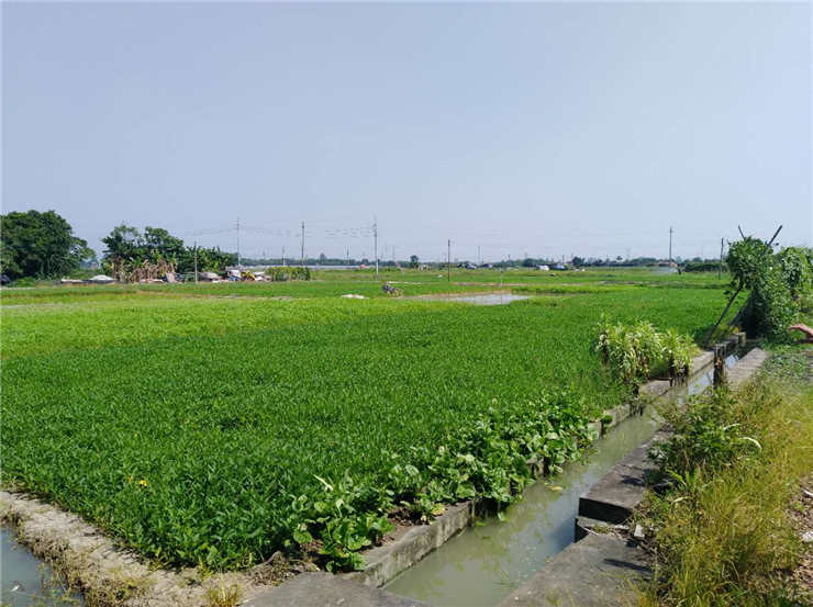 Z6���������ǲ�(�й���)���޹�˾����