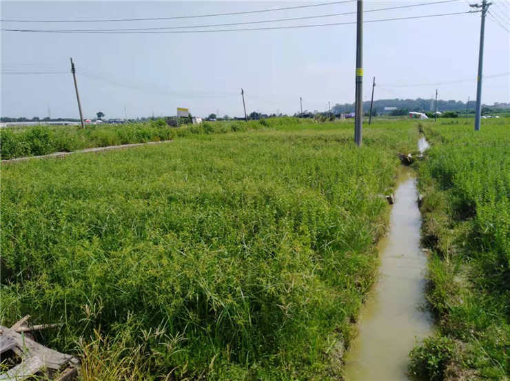 Z6���������ǲ�(�й���)���޹�˾����