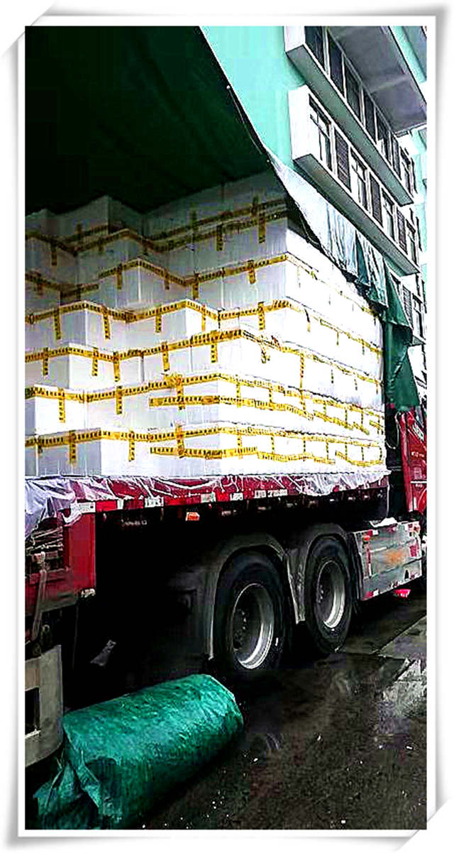 Z6���������ǲ�(�й���)���޹�˾����