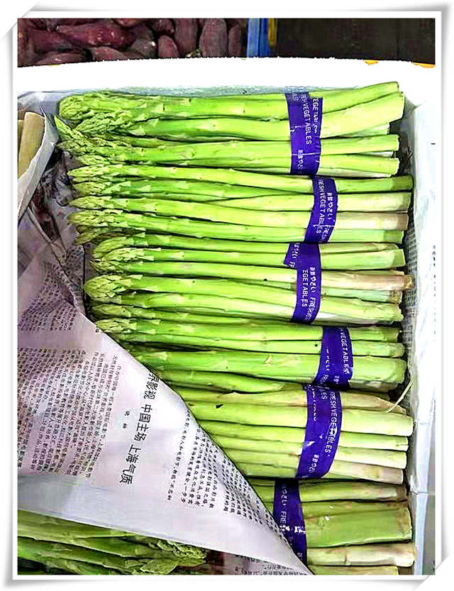 Z6���������ǲ�(�й���)���޹�˾����