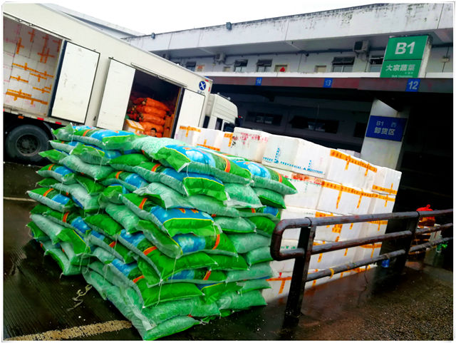 Z6���������ǲ�(�й���)���޹�˾����