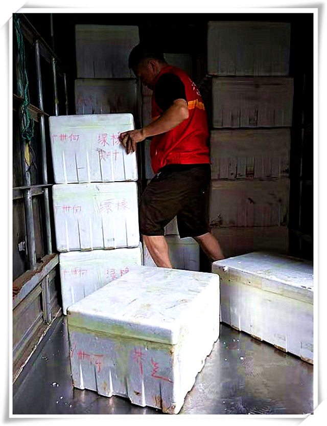 Z6���������ǲ�(�й���)���޹�˾����