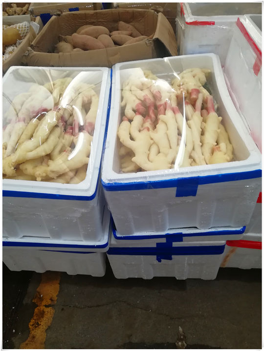 Z6���������ǲ�(�й���)���޹�˾����