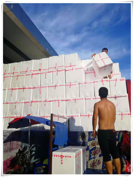 Z6���������ǲ�(�й���)���޹�˾����