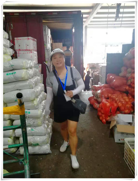 Z6���������ǲ�(�й���)���޹�˾����