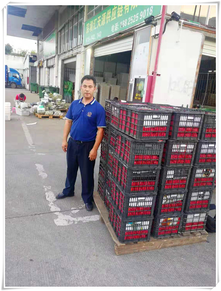 Z6���������ǲ�(�й���)���޹�˾����