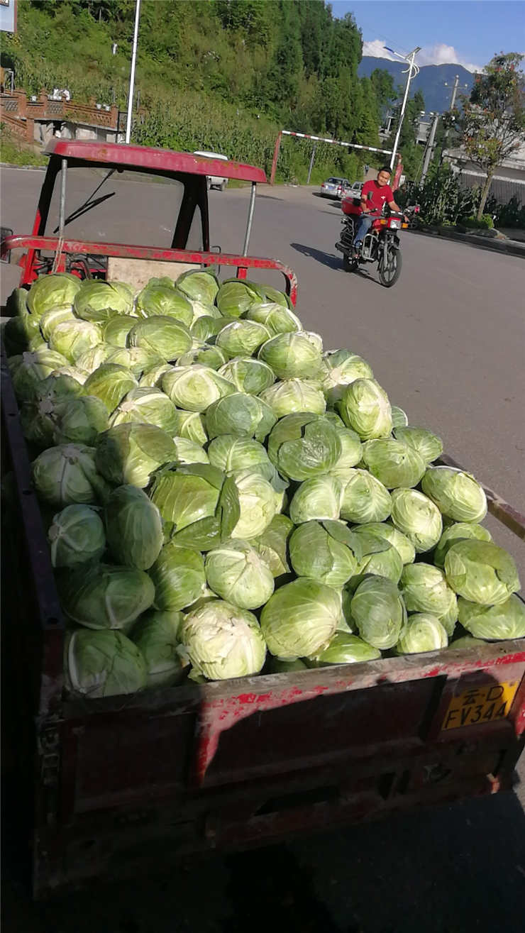 Z6���������ǲ�(�й���)���޹�˾����