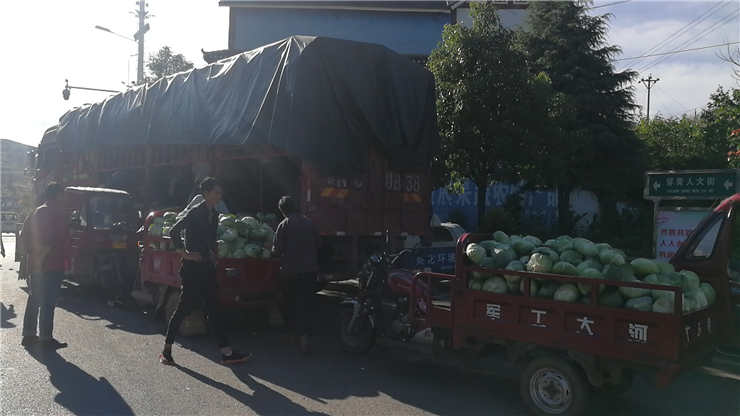 Z6���������ǲ�(�й���)���޹�˾����