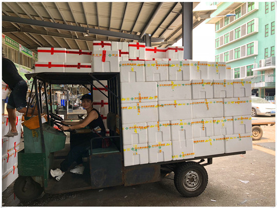 Z6���������ǲ�(�й���)���޹�˾����