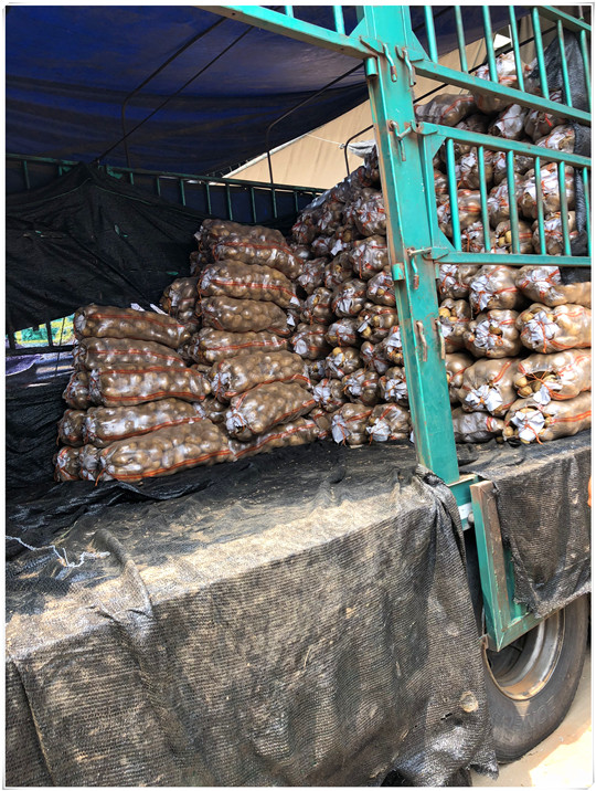 Z6���������ǲ�(�й���)���޹�˾����