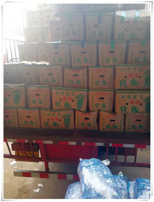 Z6���������ǲ�(�й���)���޹�˾����