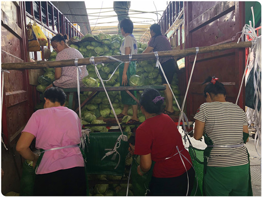 Z6���������ǲ�(�й���)���޹�˾����