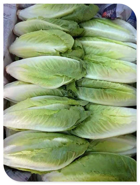 Z6���������ǲ�(�й���)���޹�˾����