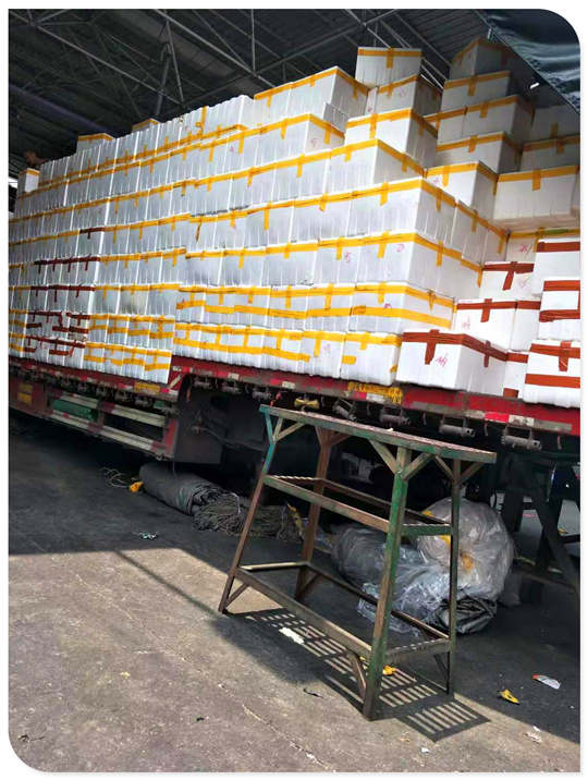 Z6���������ǲ�(�й���)���޹�˾����