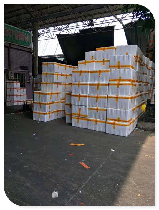 Z6���������ǲ�(�й���)���޹�˾����