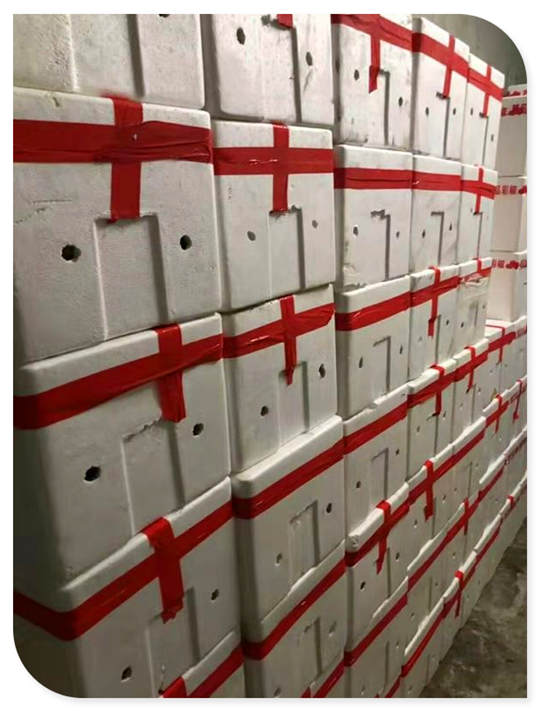 Z6���������ǲ�(�й���)���޹�˾����