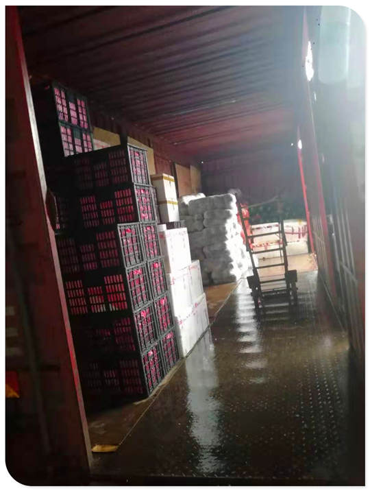 Z6���������ǲ�(�й���)���޹�˾����