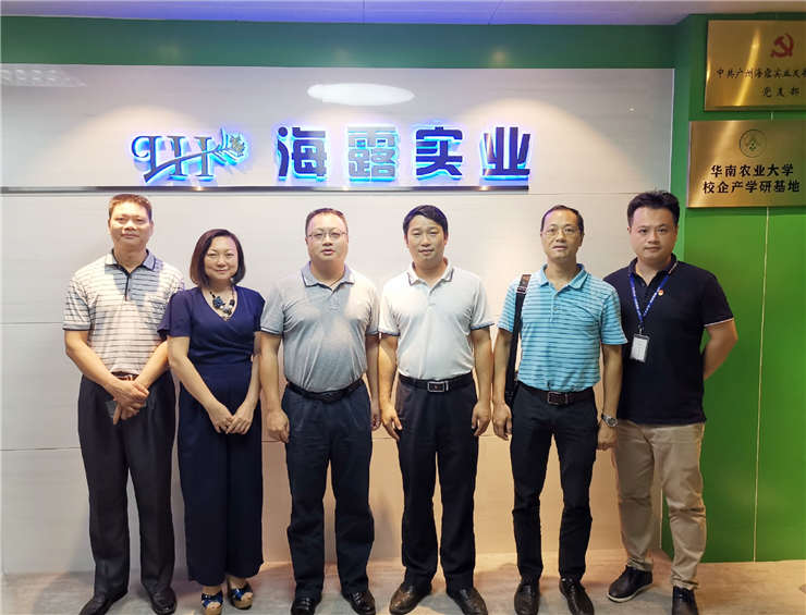 Z6���������ǲ�(�й���)���޹�˾����