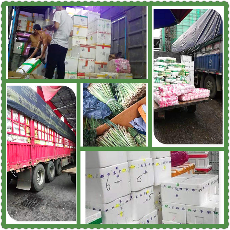 Z6���������ǲ�(�й���)���޹�˾����