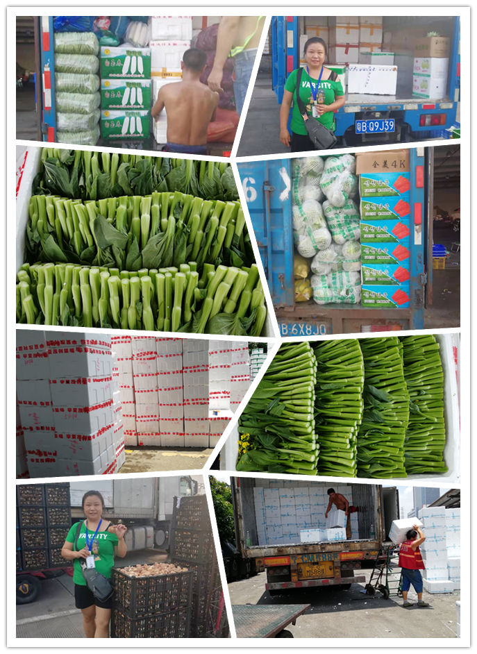 Z6���������ǲ�(�й���)���޹�˾����