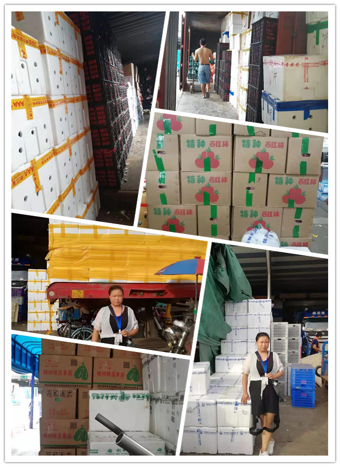 Z6���������ǲ�(�й���)���޹�˾����