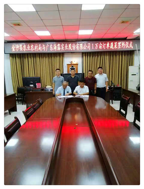 Z6���������ǲ�(�й���)���޹�˾����