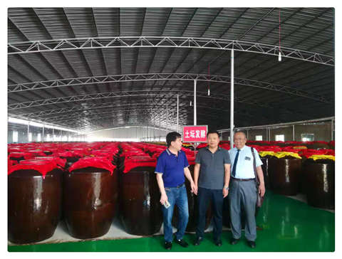 Z6���������ǲ�(�й���)���޹�˾����