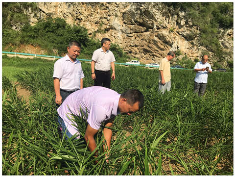 Z6���������ǲ�(�й���)���޹�˾����