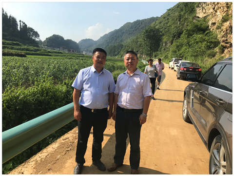 Z6���������ǲ�(�й���)���޹�˾����