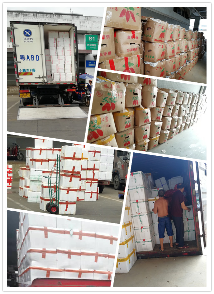 Z6���������ǲ�(�й���)���޹�˾����