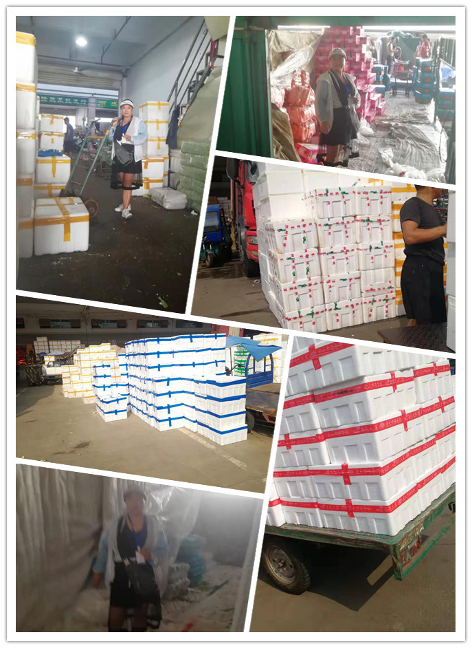 Z6���������ǲ�(�й���)���޹�˾����