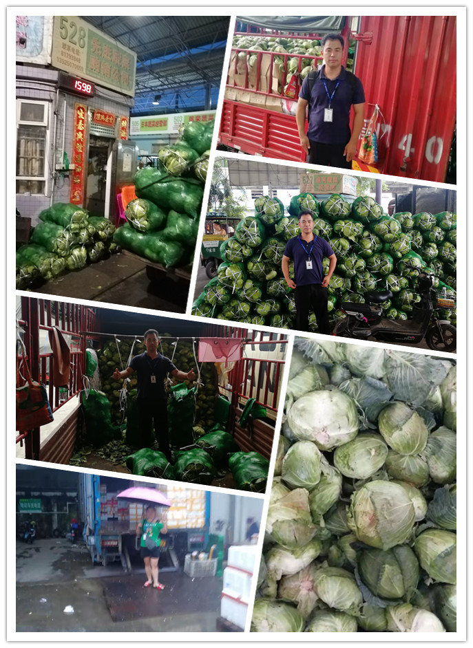 Z6���������ǲ�(�й���)���޹�˾����