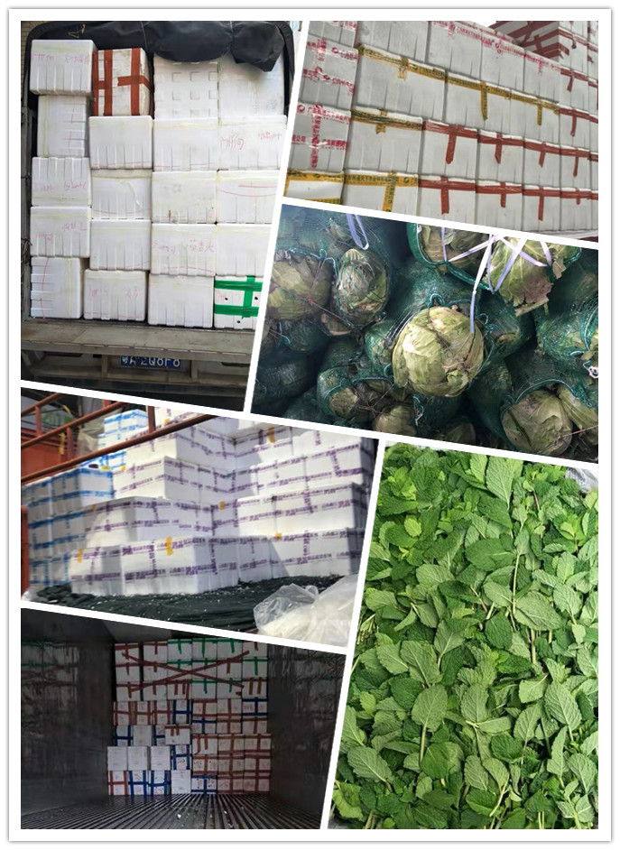 Z6���������ǲ�(�й���)���޹�˾����