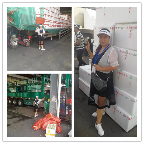 Z6���������ǲ�(�й���)���޹�˾����