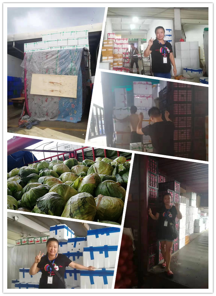 Z6���������ǲ�(�й���)���޹�˾����