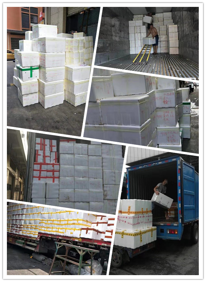 Z6���������ǲ�(�й���)���޹�˾����