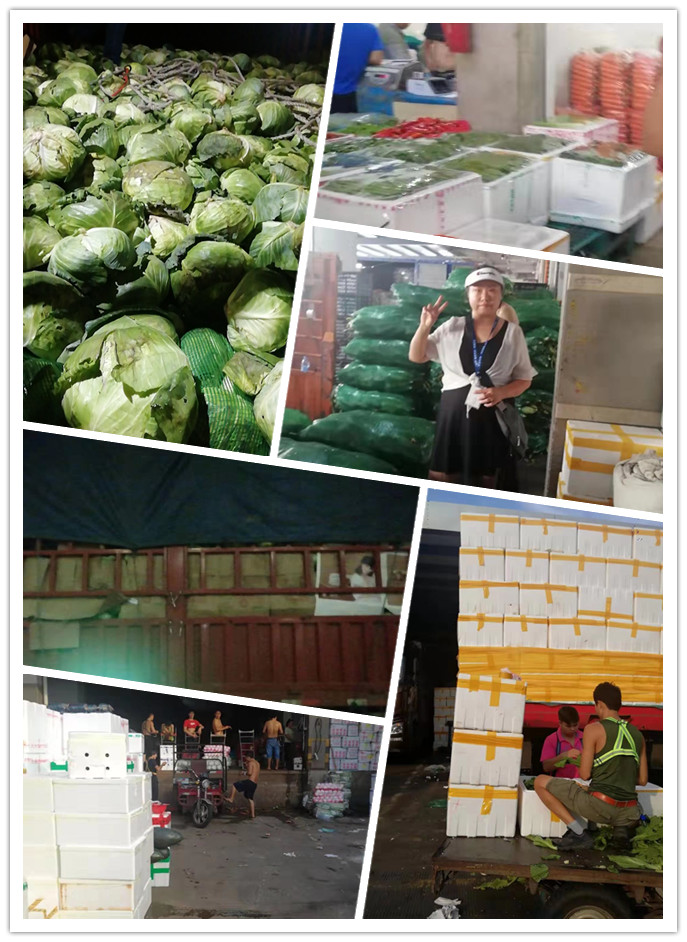 Z6���������ǲ�(�й���)���޹�˾����