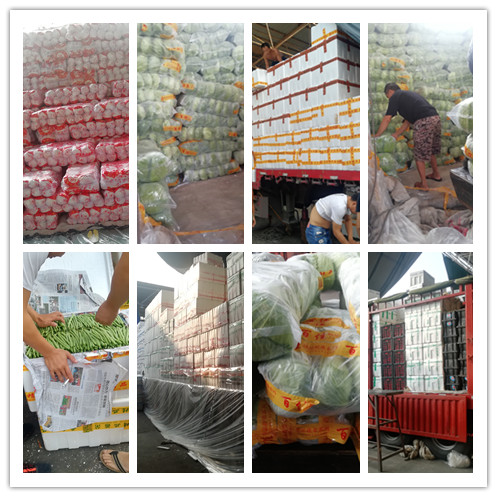 Z6���������ǲ�(�й���)���޹�˾����