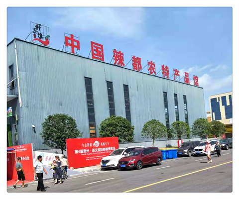 Z6���������ǲ�(�й���)���޹�˾����