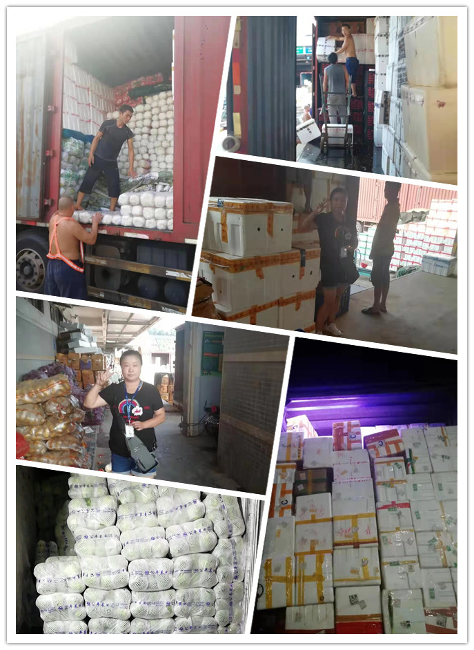 Z6���������ǲ�(�й���)���޹�˾����