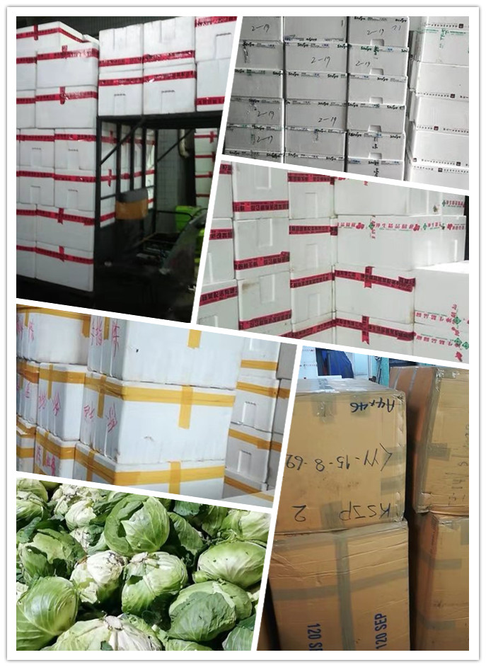 Z6���������ǲ�(�й���)���޹�˾����